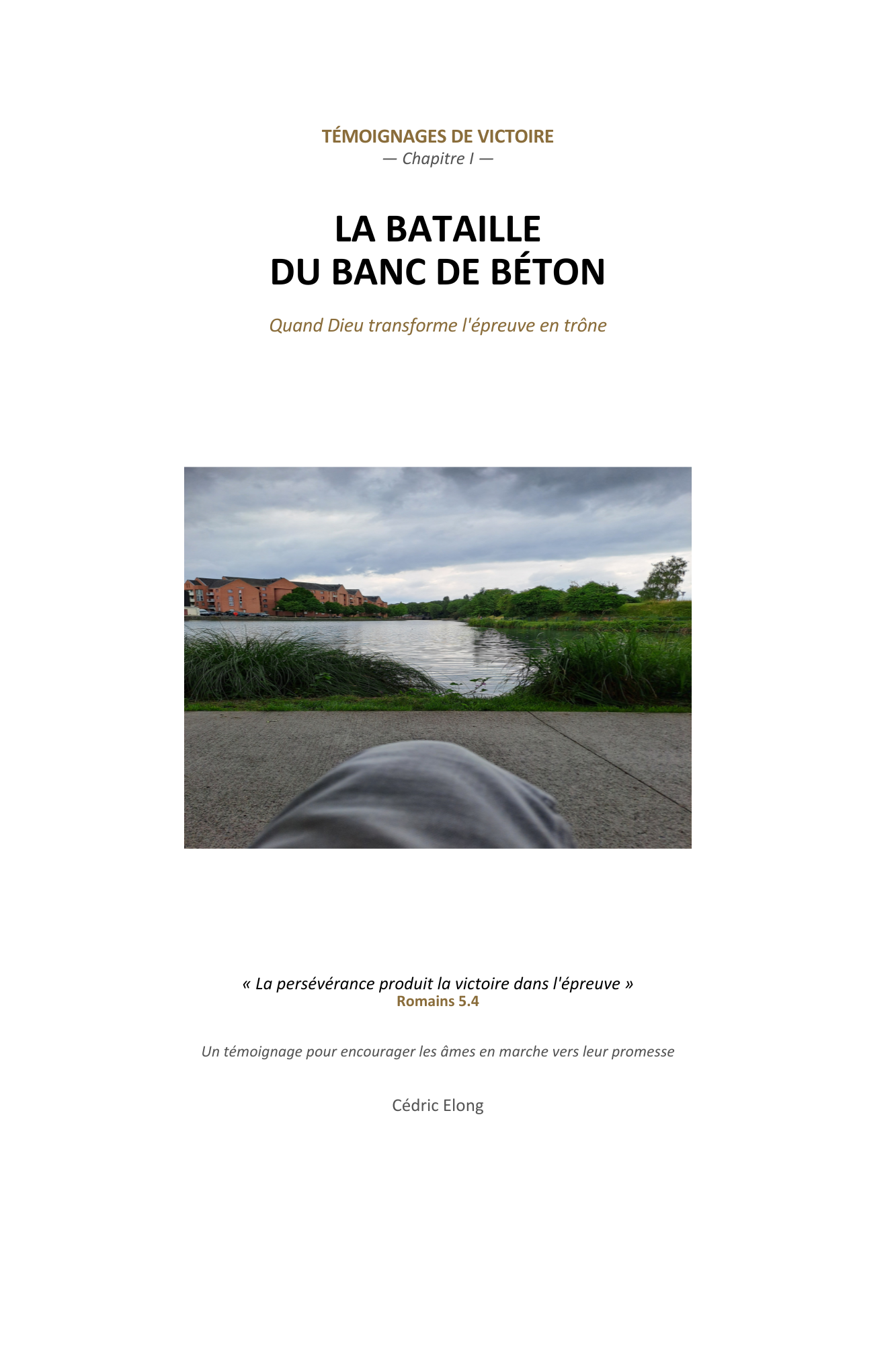 Couverture de LA BATAILLE DU BANC DE BÉTON