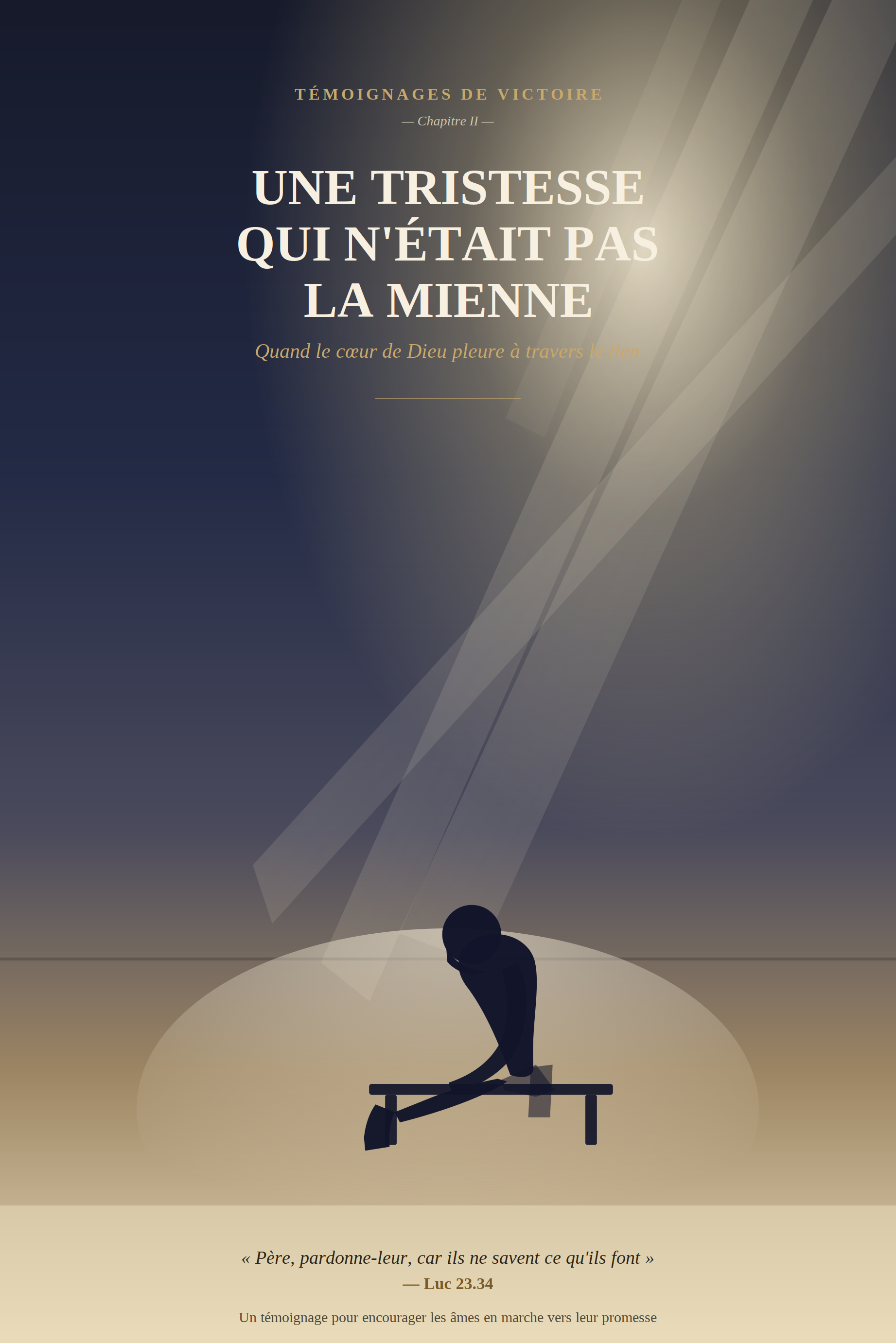 Couverture de UNE TRISTESSE QUI N'ÉTAIT PAS LA MIENNE